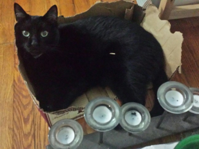 20150906_215737~2.jpg image