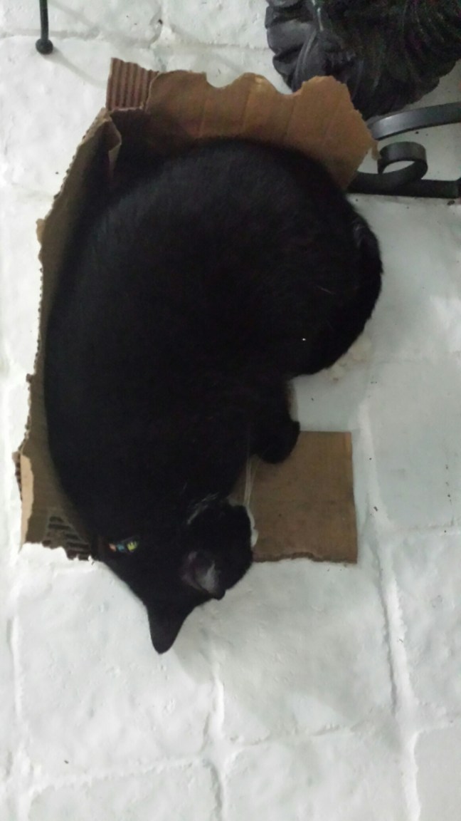 20150907_221818.jpg image