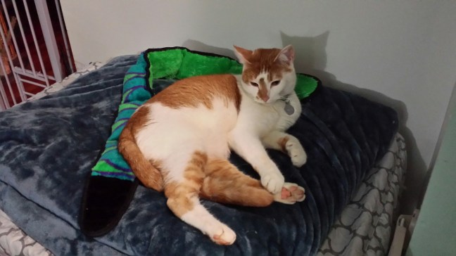 20151227_194036.jpg image