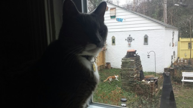 20160109_114145.jpg image