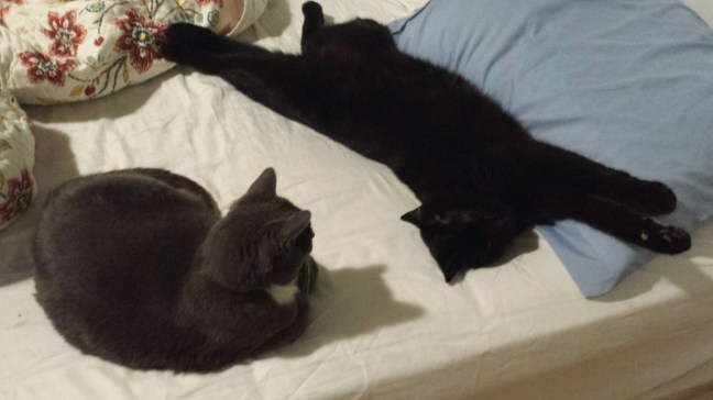 20160412_075436.jpg image