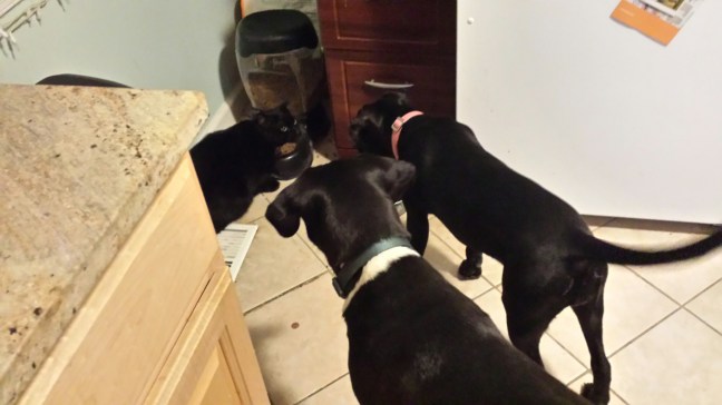 20160413_195147.jpg image