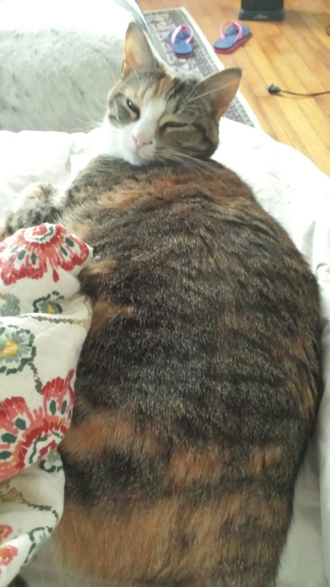 20160414_074356.jpg image