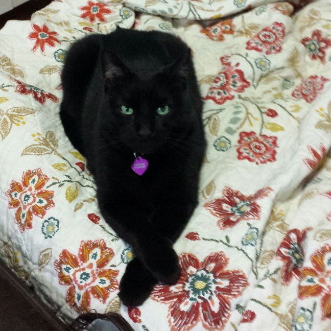 20160417_180338.jpg image