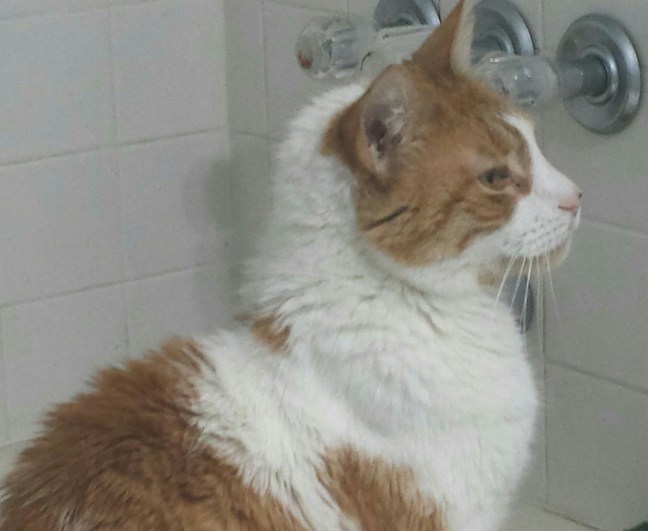 20160419_215009.jpg image