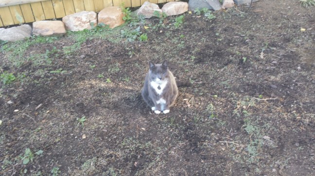 20160420_083350.jpg image