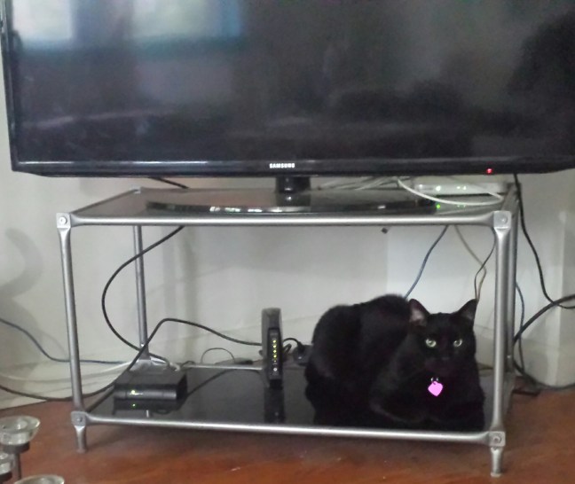 20160423_094731.jpg image