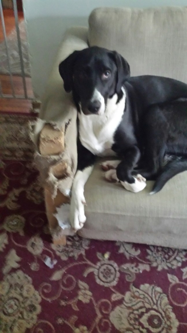 20160423_104158.jpg image