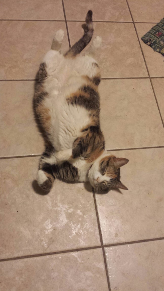 20160427_052939.jpg image