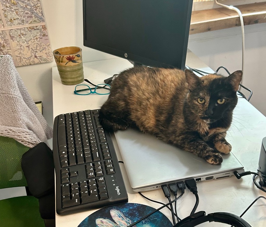 You are looking at a white, home office desk with a coffee mug, a computer monitor, a pair of blue framed glasses, a black computer keyboard, a closed, silver laptop, and a gorgeous, petite tortoise shell cat curled daintily atop the laptop.  The tortie fixes you with a hypnotic, yellow-eyed stare.  It’s probably best to leave her be and type elsewhere.