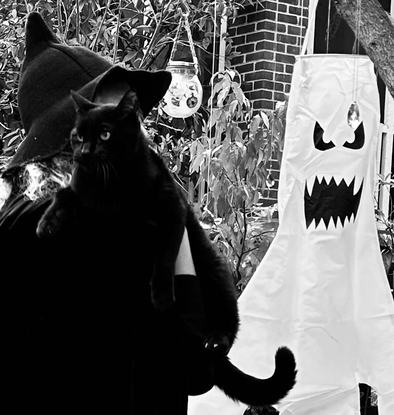 A black house panther is draped over a witch’s shoulder outside beneath a tree.  A spooky ghost hangs from the tree.