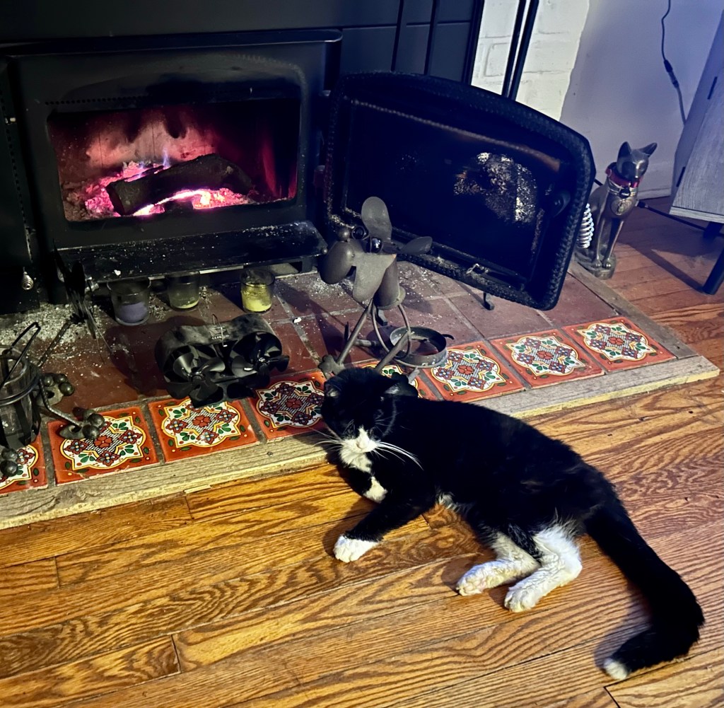 A black and white tuxedo cat lounges on a wooden floor in front of a fireplace in which a small fire crackles merrily.