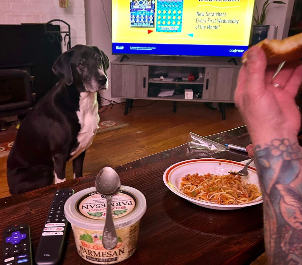 A black and white hound stares longingly at a man who is eating a delicious-looking plate of spaghetti.