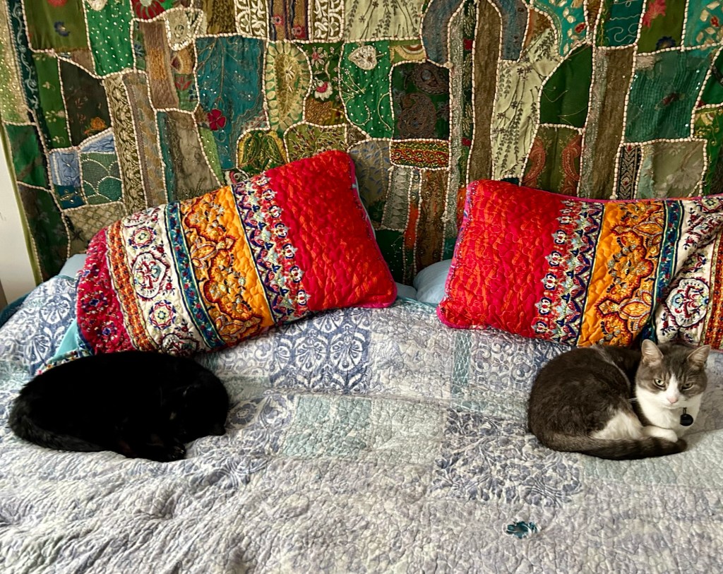 Two cats, a black shorthair to the left and a stripy grey shorthair to the right, are curled up on a bed with a faded blue quilt and brightly colored quilted pillow cases.