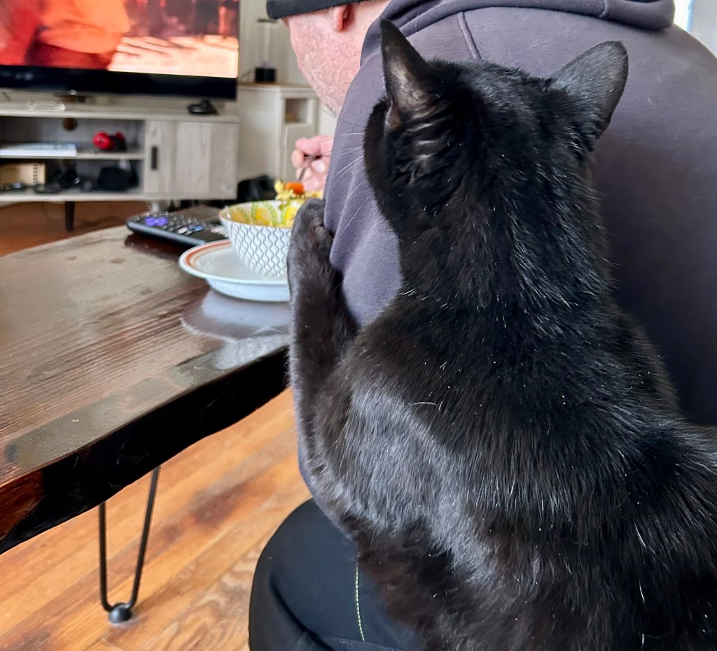 A man eats from a large bowl of chicken noodle soup balanced on a coffee table.  We see a black shorthair cat from the back on the couch next to the man.  The cat is reaching his front left leg around the man’s left arm, presumably to encourage sharing of the soup.