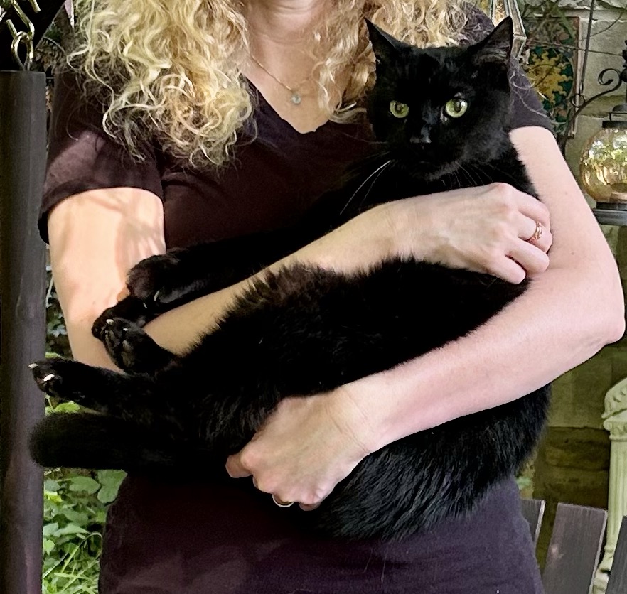 A blond woman holds a big black house cat.