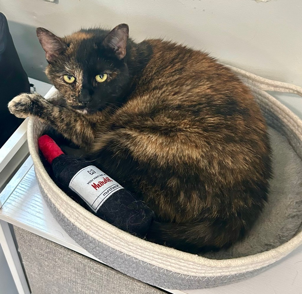 A little tortoiseshell cat curls up around a bottle of Meowlot stuffed with catnip.