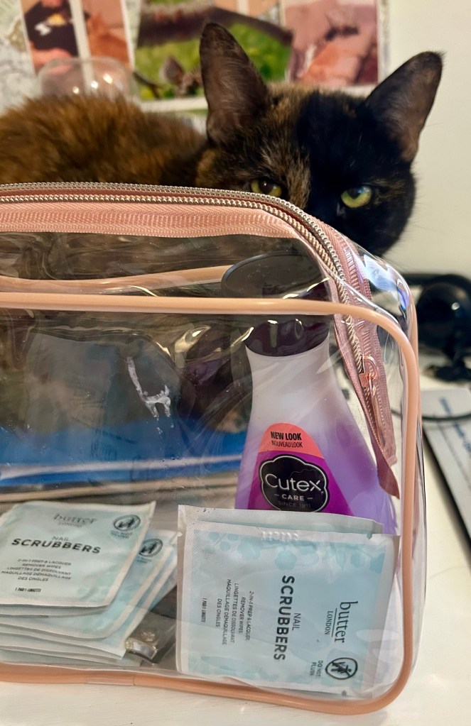 A pretty tortoiseshell cat crouches behind a clear makeup case with manicure supplies.