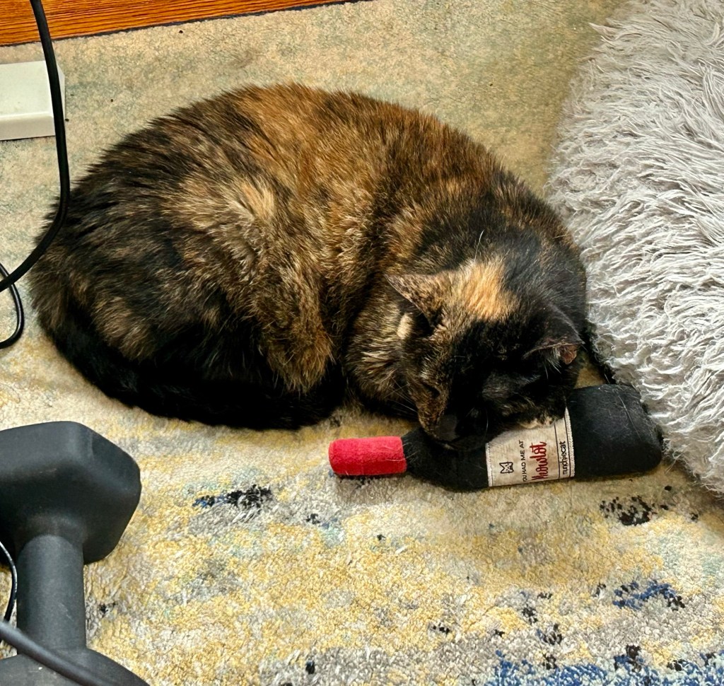 A pretty, petite tortoiseshell sleeps with her cheek resting on a stuffed cat toy shaped like a wine bottle.