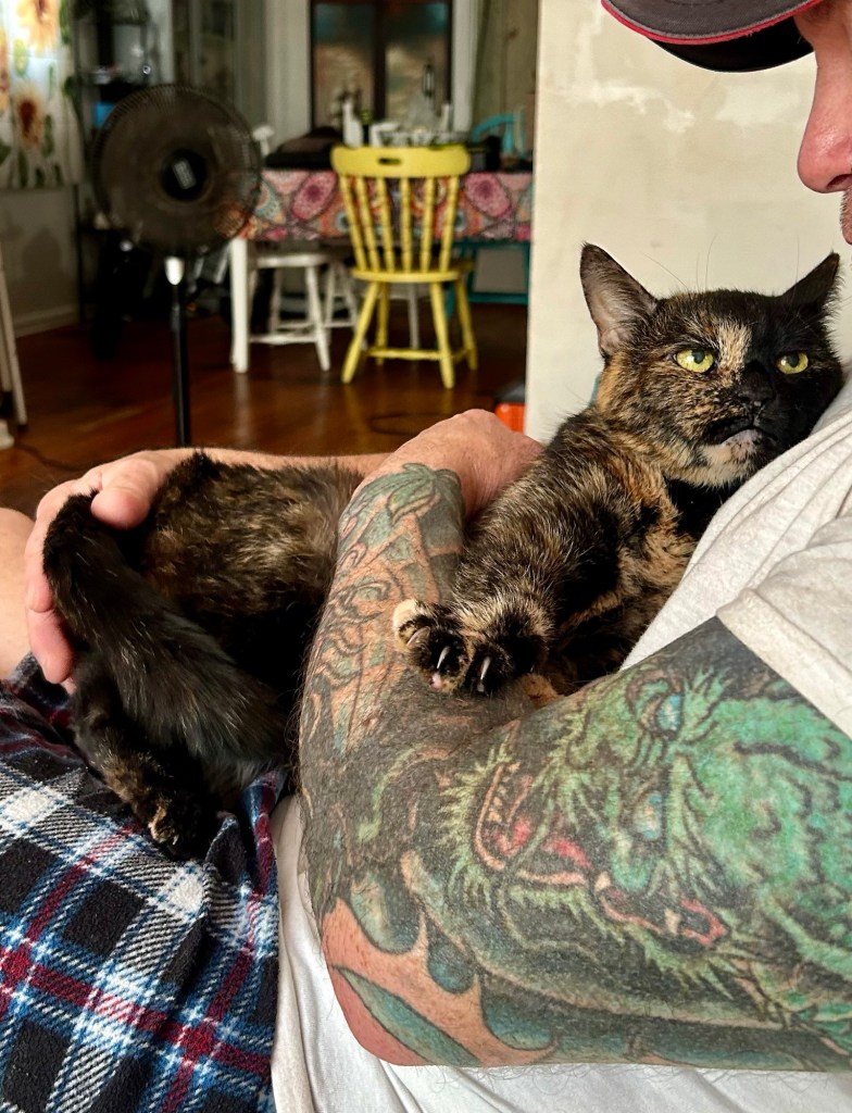 A man holds a petite tortoiseshell cat.