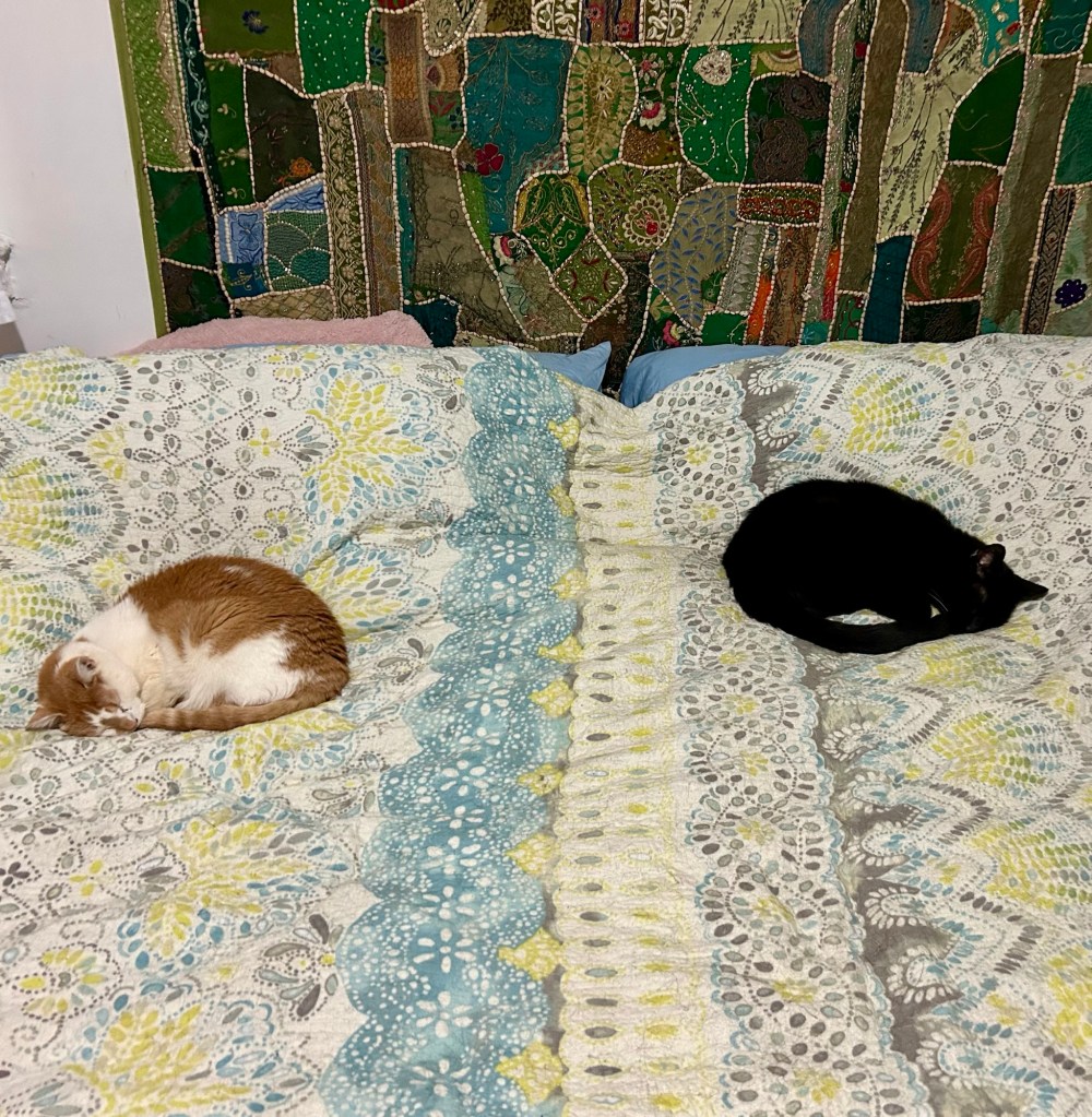 A ginger cat and a black cat sleep curled up on a large bed.