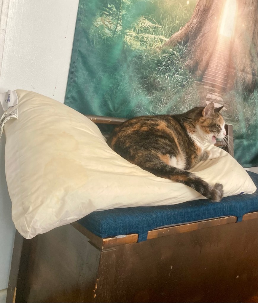 A large calico cat sits on top of a bed pillow placed on top of a wooden chest.