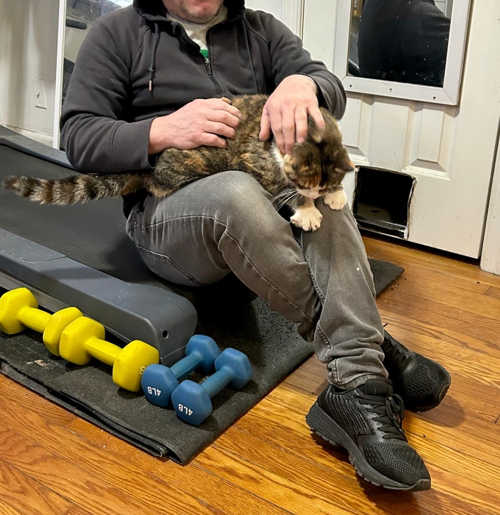 A man sits on top of a treadmill with a calico stretched out on his lap.  The man is stroking the cat and she is flexing her paws in pleasure.