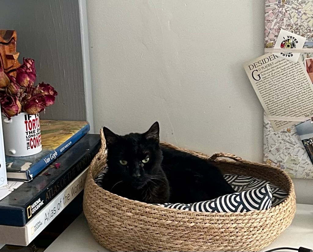 A black cat lounges in a basket atop a home office desk.