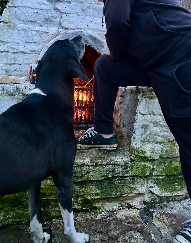 A large black and white hound looks up at a man in dark sweats who is tending to a fire in an outdoor fireplace.