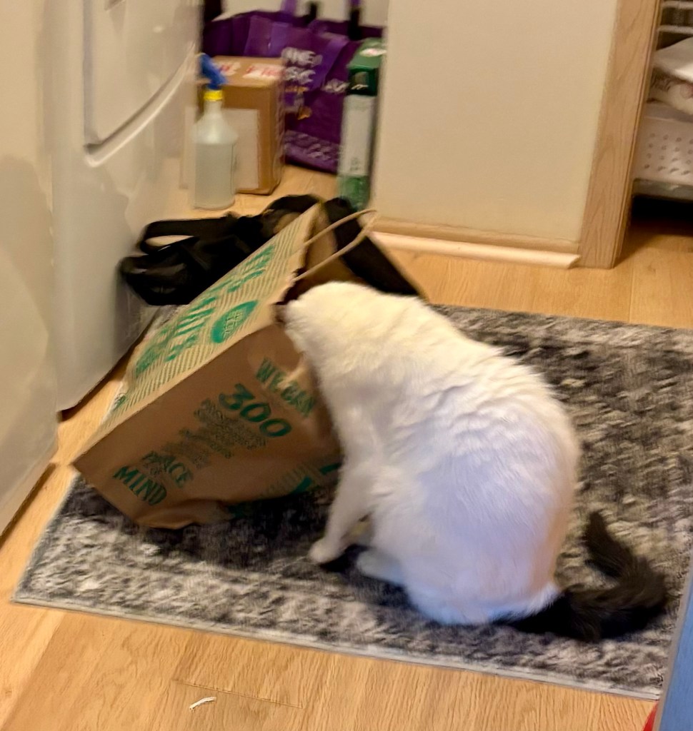 A large white cat with a black tail sticks his head in a brown paper bag.