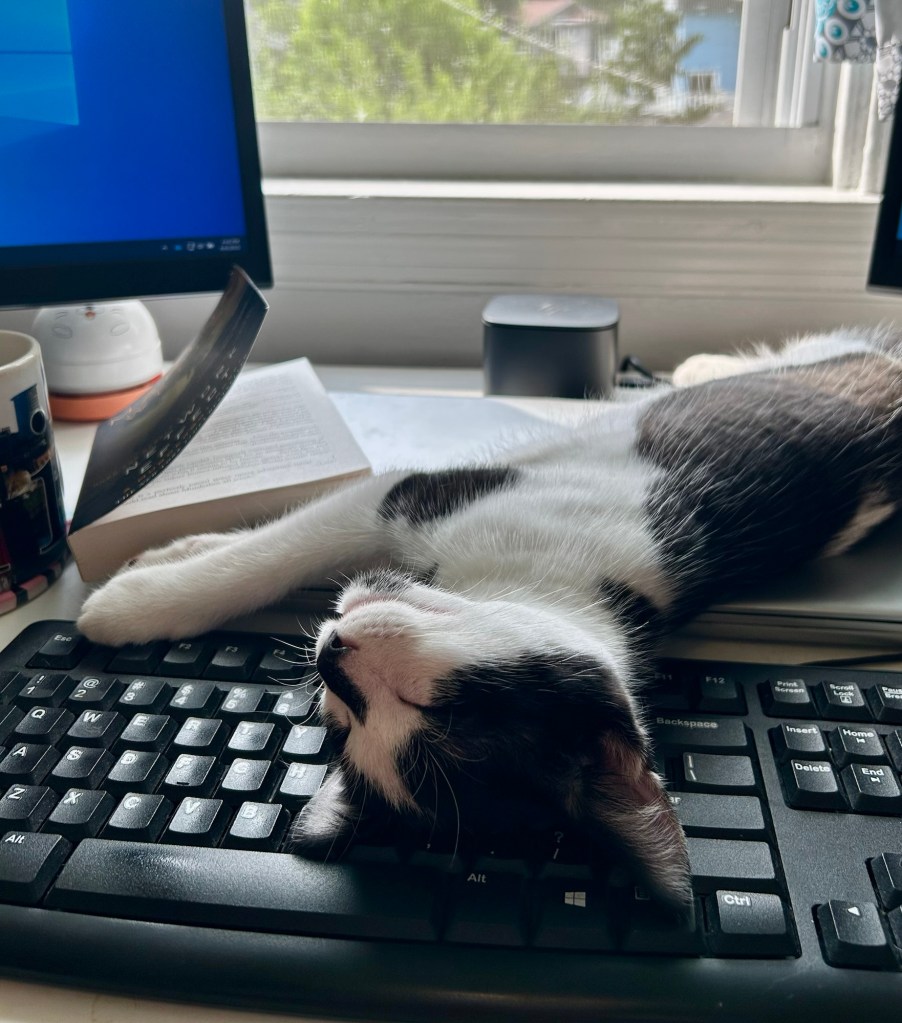 An adorable black and white kitten sleeps splayed out across a computer keyboard.  No one is getting any typing done now.