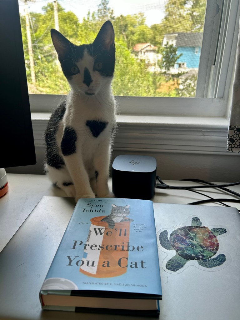 An adorable black and white kitten sits on a desk next to a book.