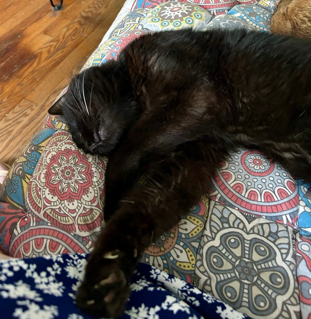 A handsome black sprawls on a comfortable couch with his head in upside-down position.