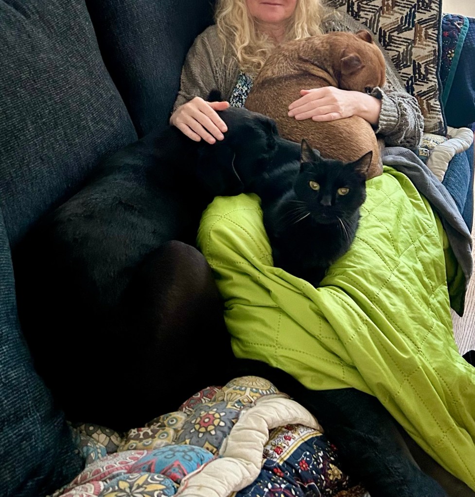 A woman lays back on a couch with a big black cat on her lap and a little yellow dog on her chest.  A big black dog also leans against the woman, resting her head on the woman’s thigh.