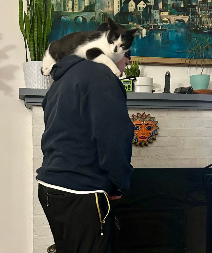 A young black and white cat sits on a man’s shoulders.