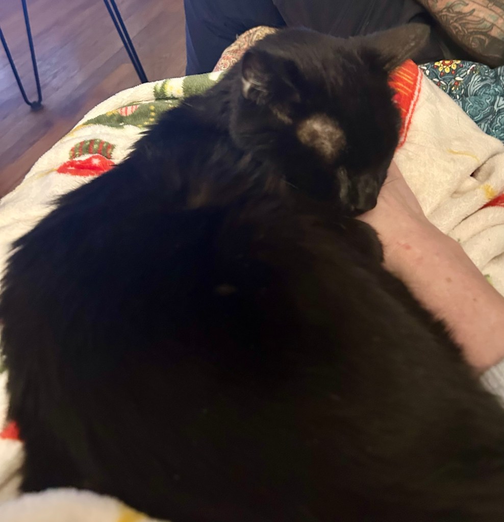The same black cat is still sleeping on the woman’s lap, but now his head is on the woman’s hand.