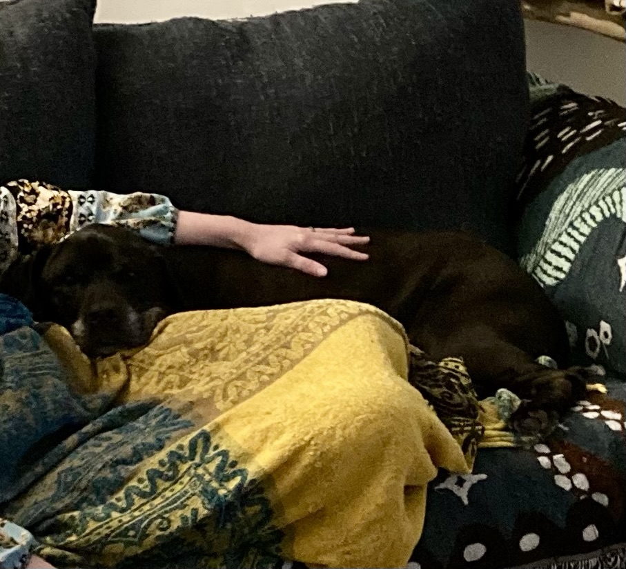 A pretty black dog with a white muzzle lounges behind a woman on a couch.