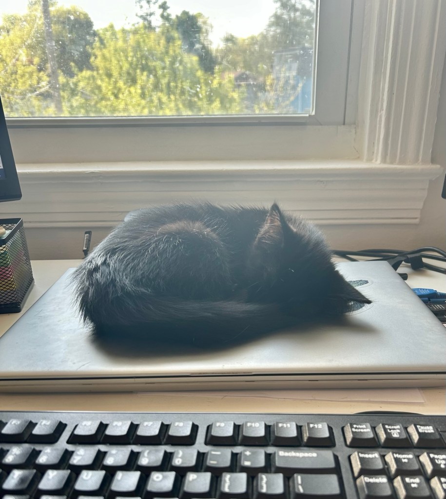 A black kitten sleeps on top of a silver laptop.