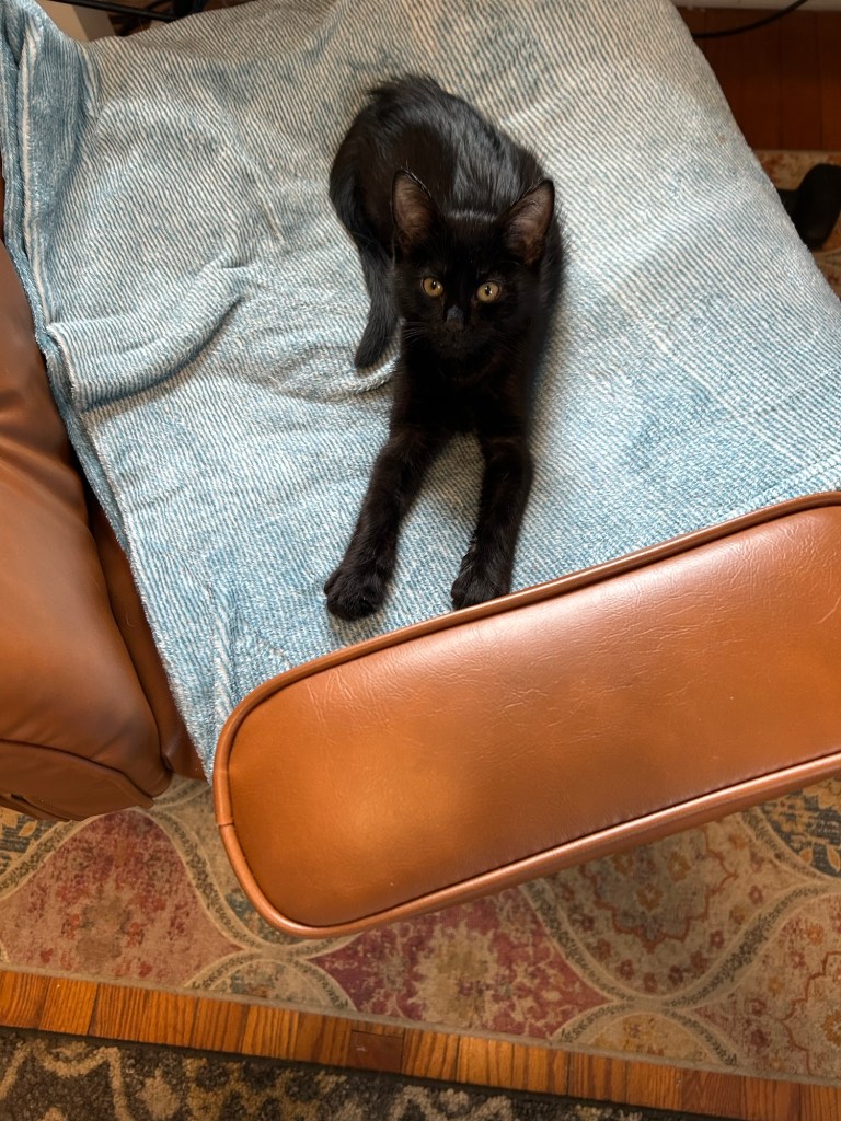 A tiny black kitten stretches his front legs full out on a big office chair.