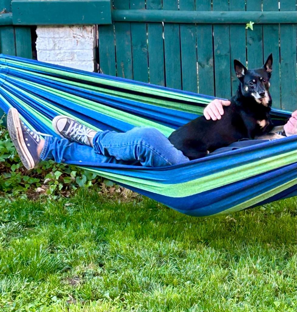 A sweet little black dog sits on a man laying in a hammock.
