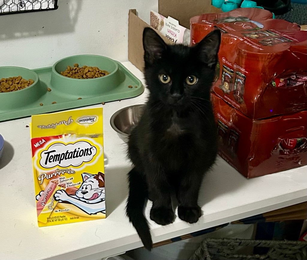 A little black kitten sits on a white kitchen table next to a yellow box of Temptations Purrée cat treats.