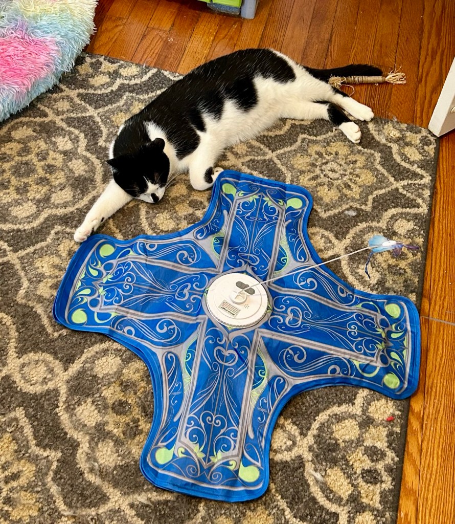 A handsome tuxedo cat sleeps sprawled out on a carpet next to a rotating cat toy.