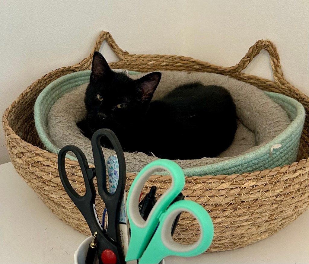 An adorable black kitten lounges in a basket atop a home office desk.
