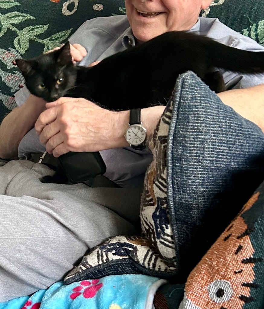 A little black kitten climbs on a man sitting on a sofa.