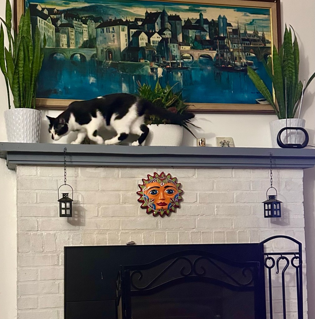 A handsome tuxedo cat walks atop a fireplace mantel.