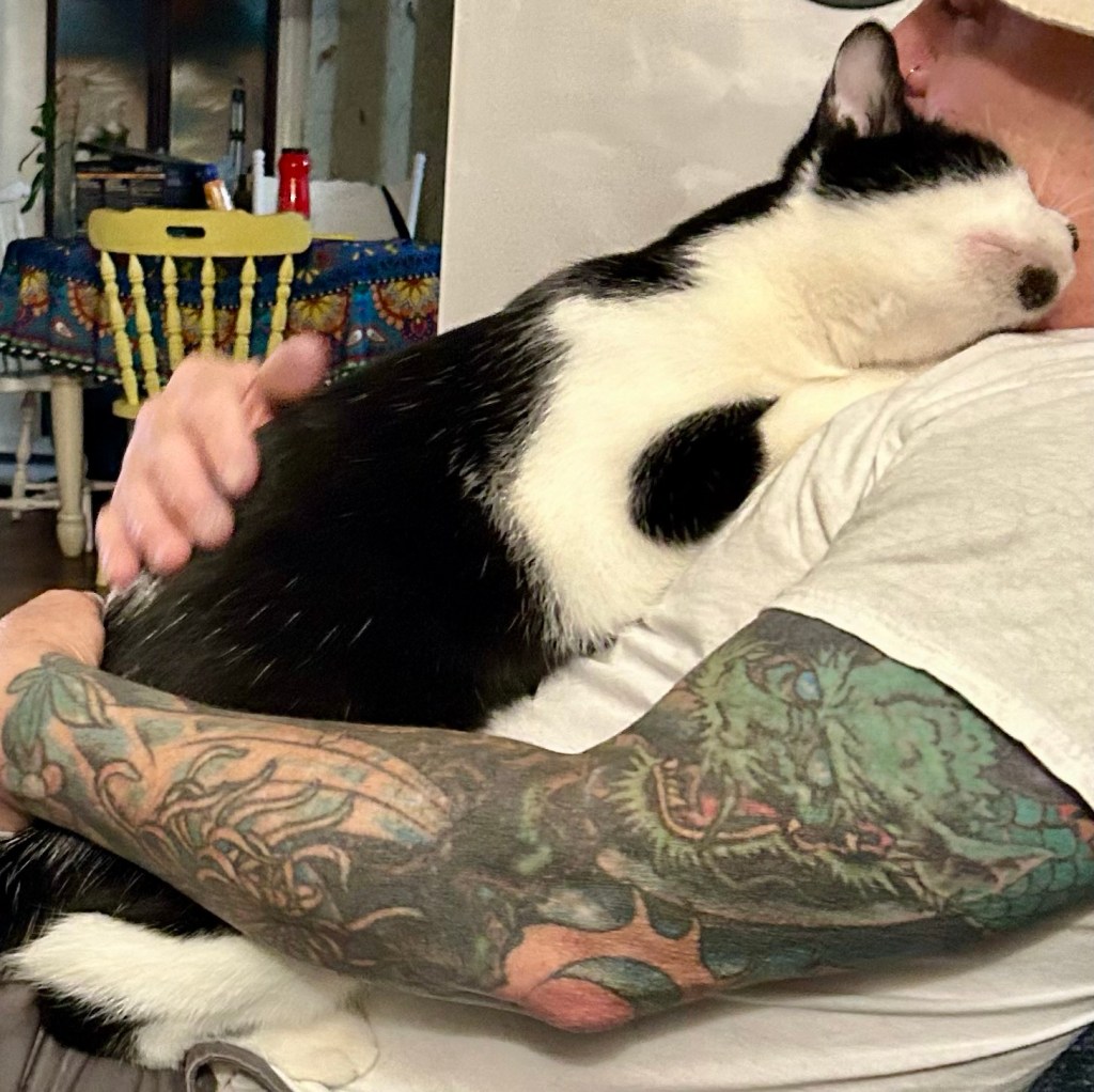 A happy tuxedo cat cuddles on a man’s chest.