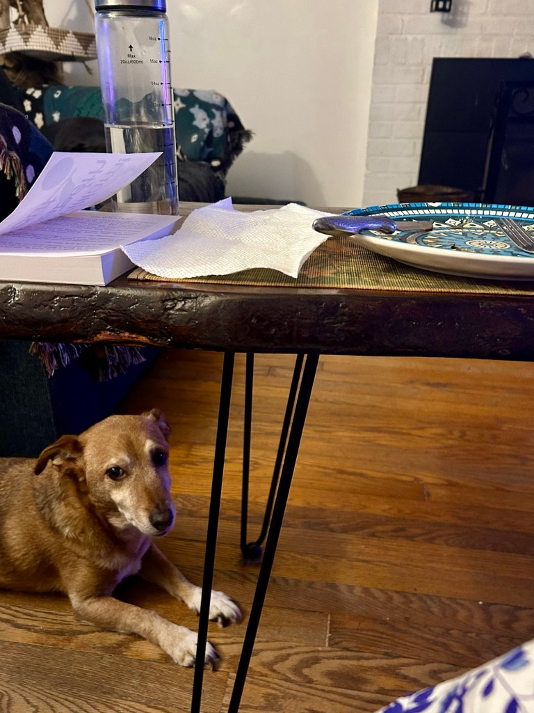 A little yellow dog sits under a coffee table that holds an empty plate.