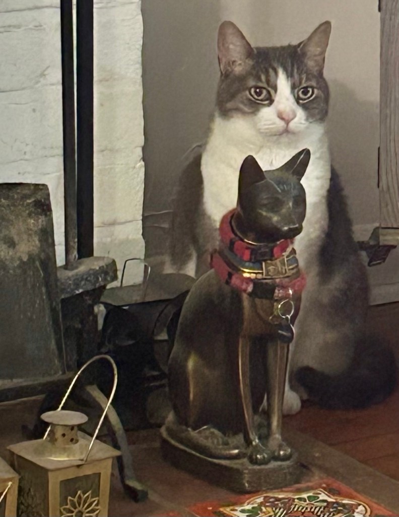 A pretty grey and white tabby poses behind a bronze Egyptian style statue of a cat.