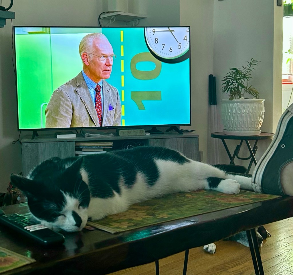 A handsome tuxedo cat lounges on a coffee table.  Behind him, an old episode of Project Runway with Tim Gunn plays on the TV. 