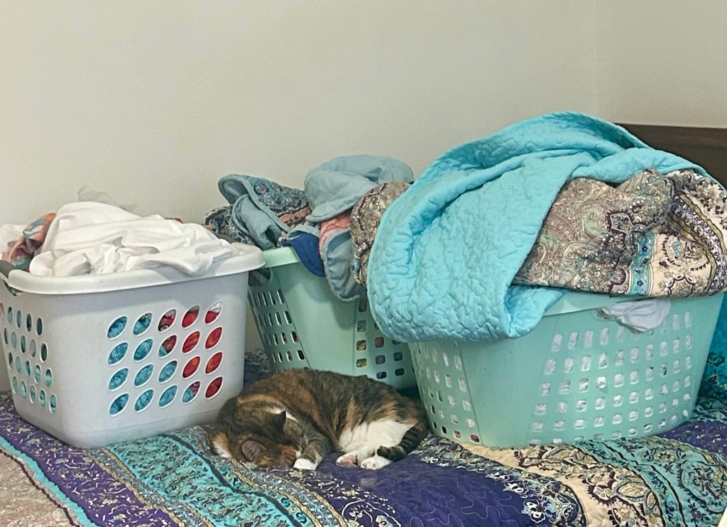 A pretty calico sleeps surrounded by three overflowing laundry bins on a bed.